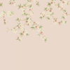 Rosa 112887